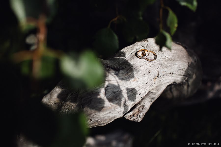 Wedding photographer Evgeniy Chernickiy (joeblack). Photo of 21 August 2015