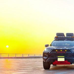 RAV4 MXAA54