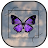 Beautiful Butterfly Wallpapers icon