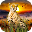 African Wild Life: Cheetah Survival Download on Windows