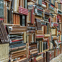 La libreria di Palazzo Mosca a Pesaro di 