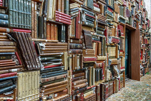 La libreria di Palazzo Mosca a Pesaro di Pino Cappellano