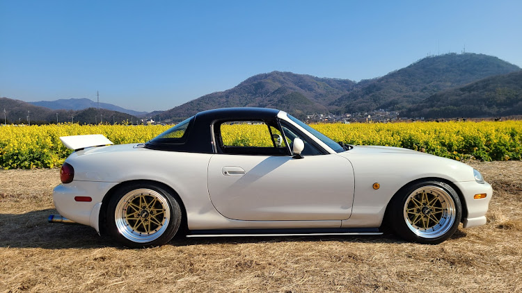 ロードスターのサクライマツダ・板っぱねはいいぞー・笠岡ベイファーム・菜の花畑に関するカスタム事例の投稿画像1枚目
