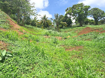 terrain à Fort de france (972)