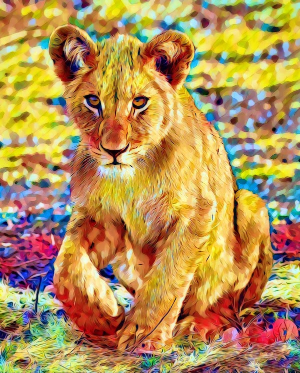 Årligt Erobre Ombord Lion Cub - Art Around Us | OpenSea