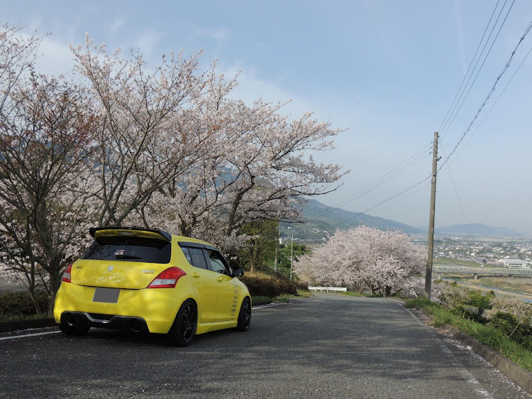 スイフトスポーツのサクラと愛車・和歌山・紀ノ川フルーツラインに関するカスタム事例の投稿画像6枚目