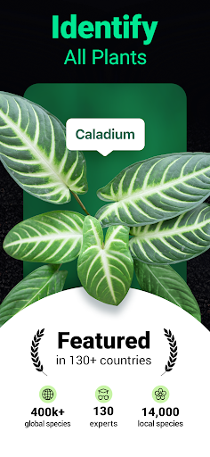 Screenshot Plantum - Plant Identifier