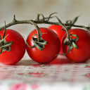 tomato branches