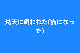 梵天に飼われた(猫になった)