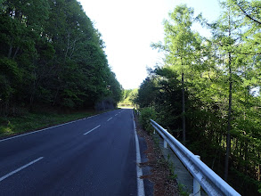 暫くは車道歩き