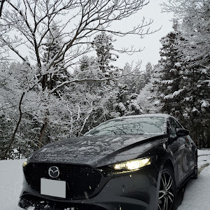 MAZDA3 BP5P