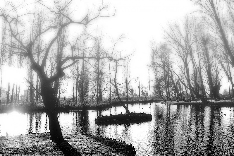 La nebbia... di abonina