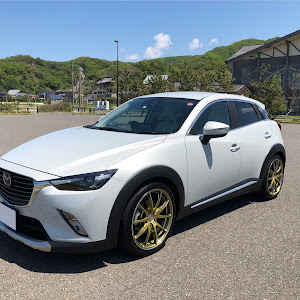 CX-3 DK5AW