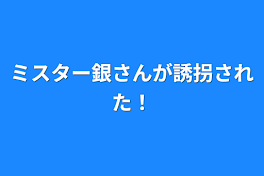 ミスター銀さんが誘拐された！