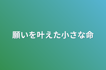 願いを叶えた小さな命