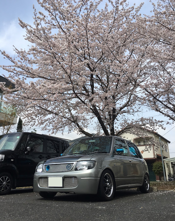 ミラジーノの桜とコラボ・桜・ミスマッチ・ミラジーノ L700sに関するカスタム事例の投稿画像3枚目