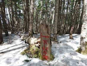 青木林道への下山口？