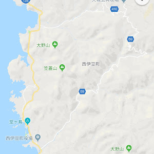 フィット