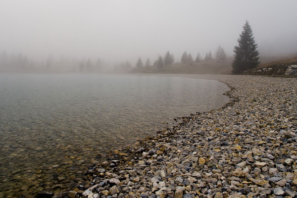 nebbia sul lago di homer1108