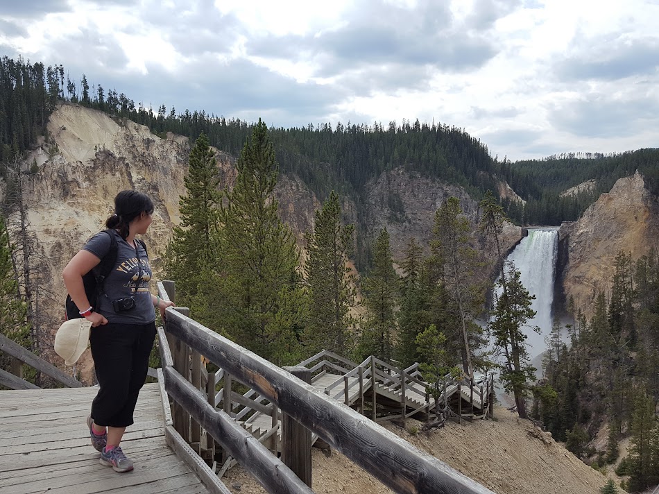 Yellowstone Artist Point Observation Deck