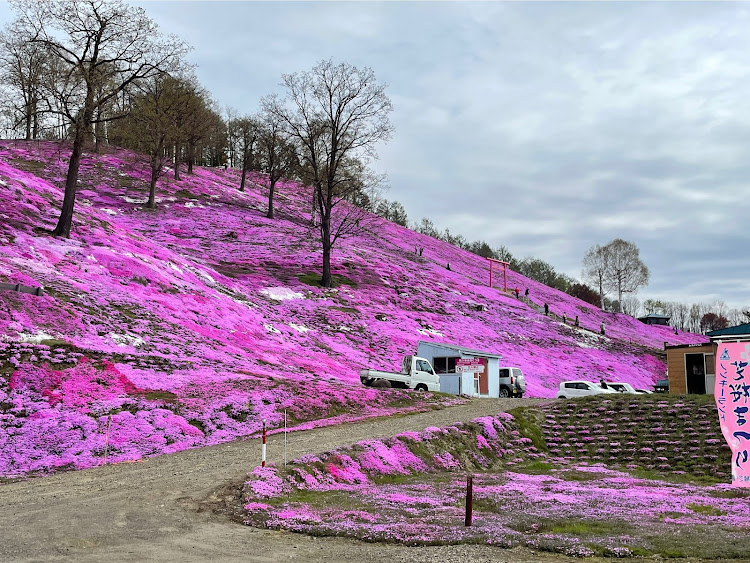 の投稿画像3枚目