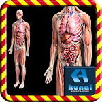 Cover Image of Download Human Anatomy 1.0 APK