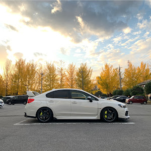 WRX STI