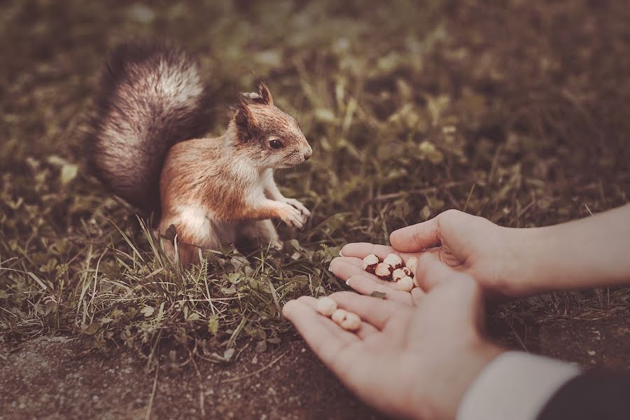 Hochzeitsfotograf Semen Svetlyy (semsvetliy). Foto vom 17. November 2015