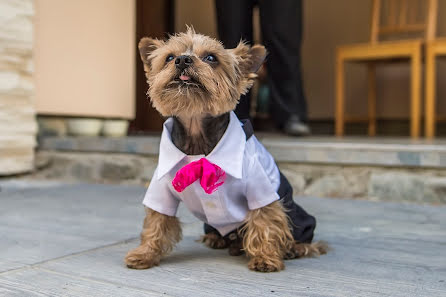 Fotografo di matrimoni Mirek Bednařík (mirekbednarik). Foto del 18 dicembre 2016