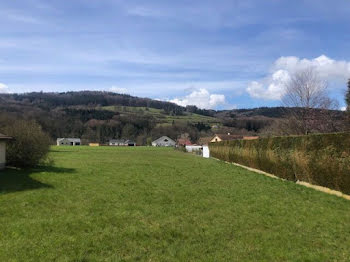 terrain à Granges-Aumontzey (88)