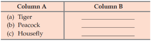 Nomenclature