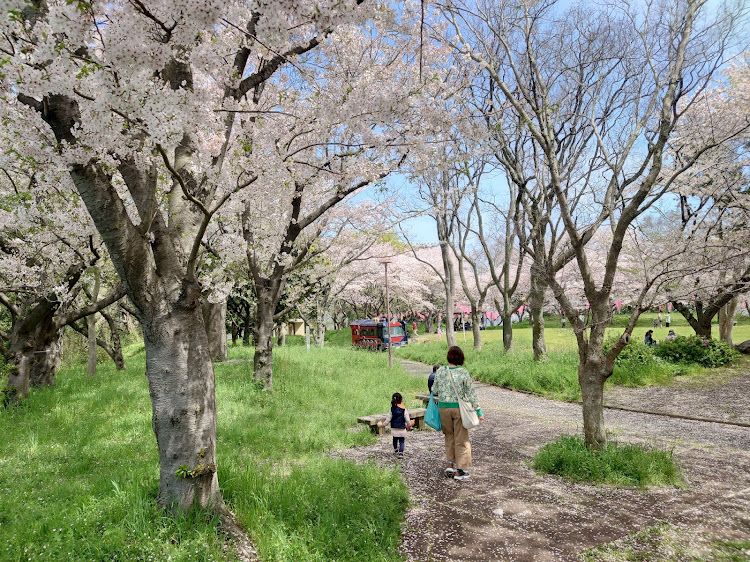 の投稿画像3枚目