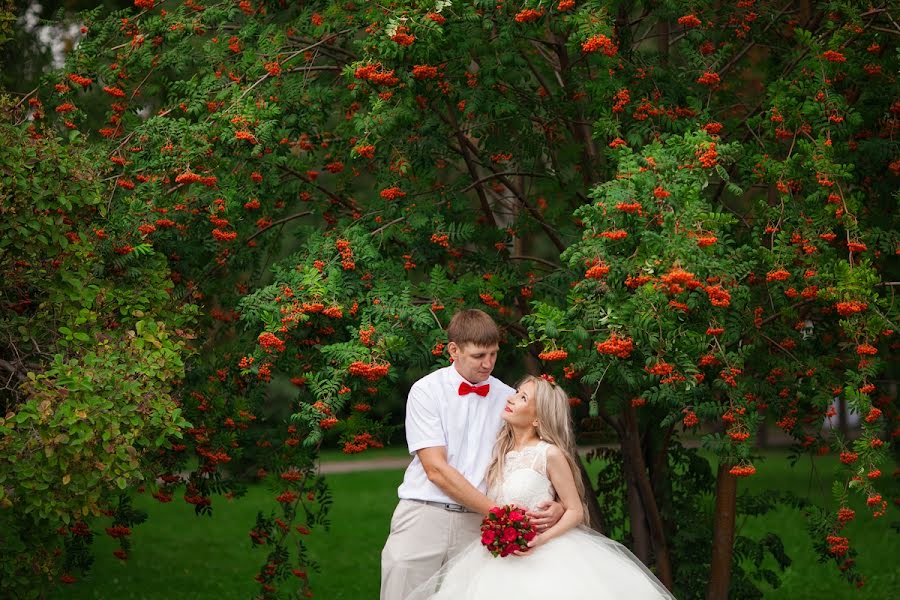 結婚式の写真家Dmitriy Khomyakov (texx)。2015 10月21日の写真