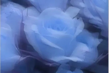 酔