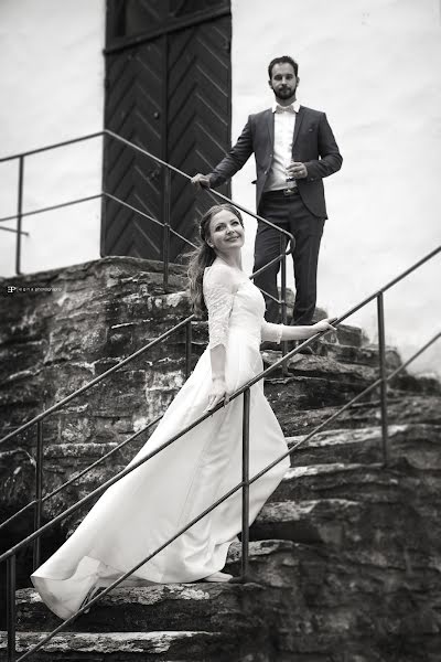 婚禮攝影師Egidijus Narvydas（egnaphotography）。2017 9月13日的照片