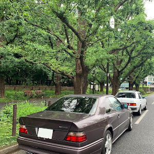 190シリーズ W201