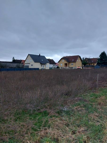 Vente terrain  439 m² à Selestat (67600), 118 530 €