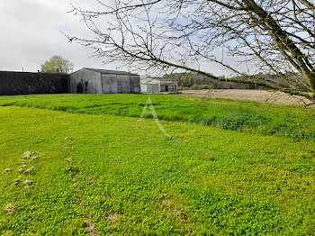 terrain à Gémozac (17)