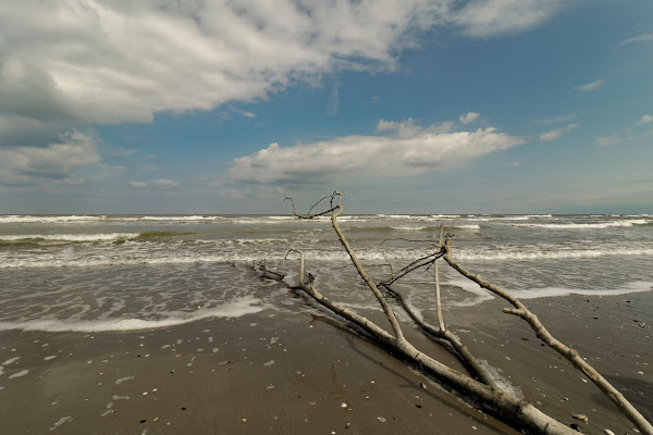 Il mare fuori stagione  di Ele_Nora