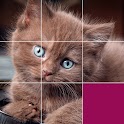 Picture Puzzles, Brain Games