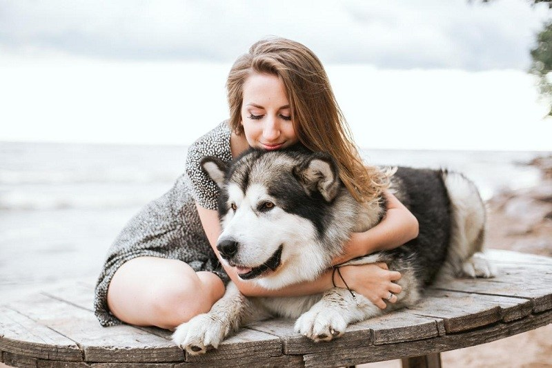 do therapy dogs actually work