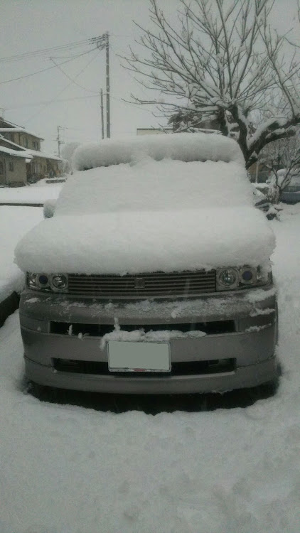 bBの今朝の喜多方・雪ドリ日和・白とがんめたの  ツートンカラーに関するカスタム事例の投稿画像2枚目