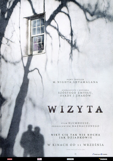 Przód ulotki filmu 'Wizyta'