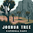 Joshua Tree National Park Tour icon