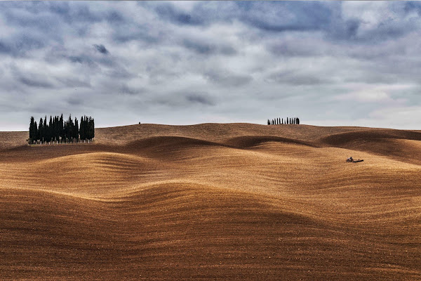 Sfumature di Francesco_Segantini