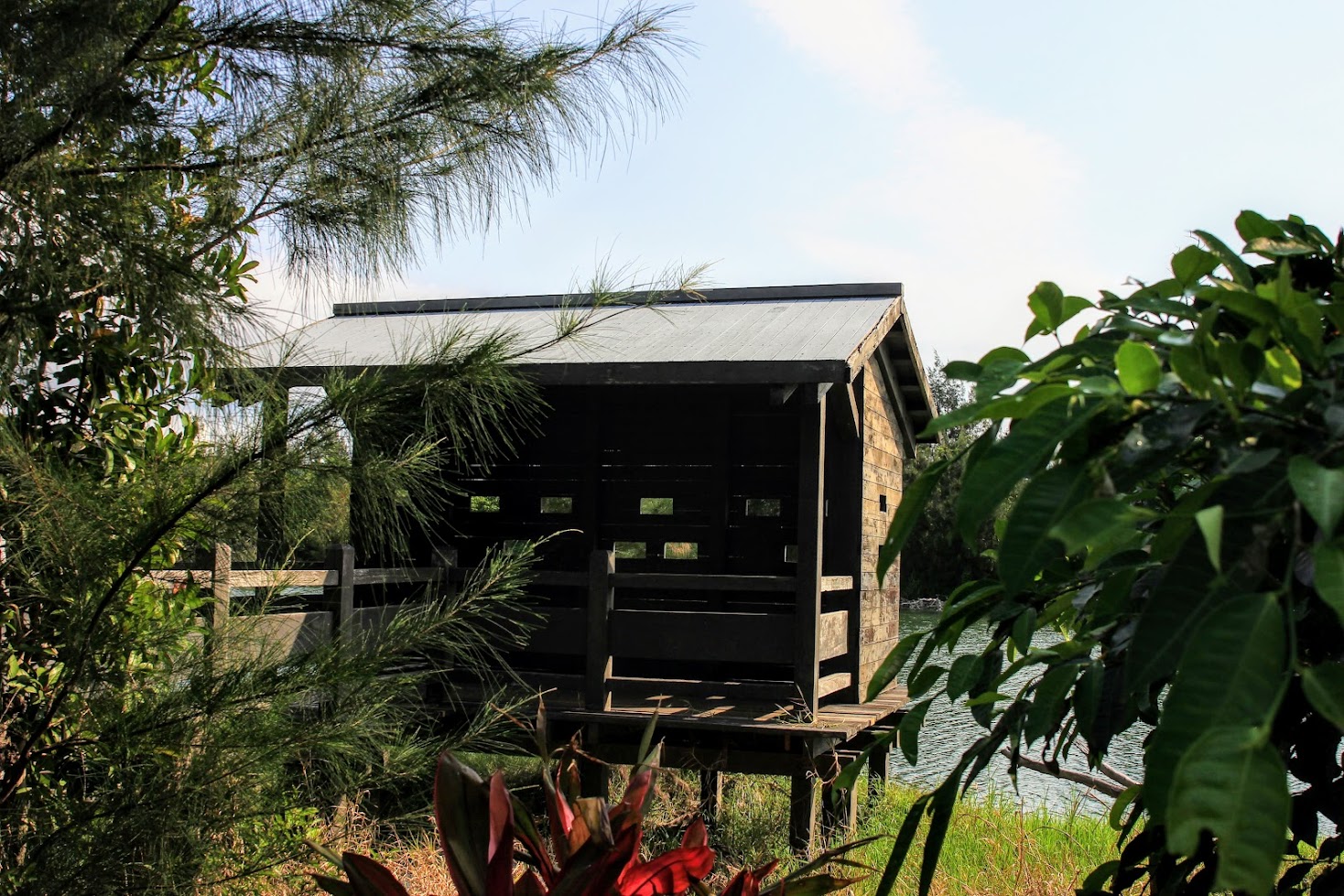 賞鳥小屋