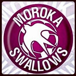 Moroka Swallows logo.