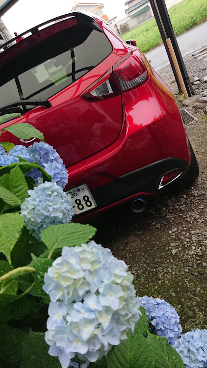 デミオの紫陽花と愛車・七夕・天の川・E.YAZAWAに関するカスタム事例の投稿画像1枚目