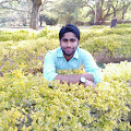 Sunil Kumar profile pic