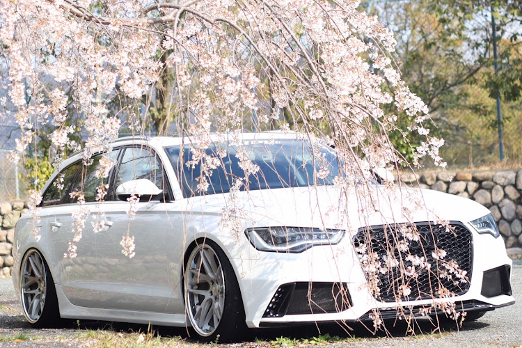 A6 アバントの桜と愛車・散りかけの桜・NEWING・Alpil・コロナウイルスに負けるなに関するカスタム事例の投稿画像1枚目
